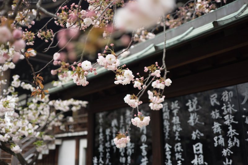 Travel Wishlist japonia