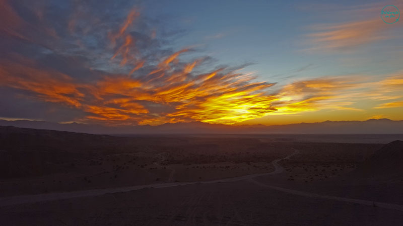 apus-desert-iran