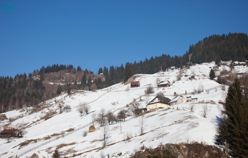 Bran - Moieciu - Râșnov