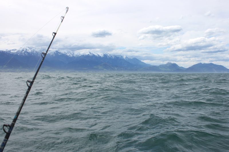 Kaikoura