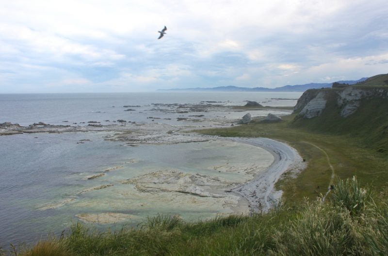 Kaikoura