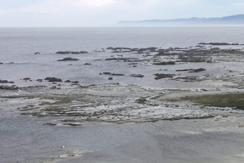 Kaikoura