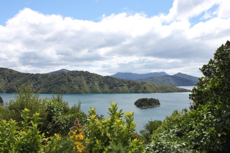Picton