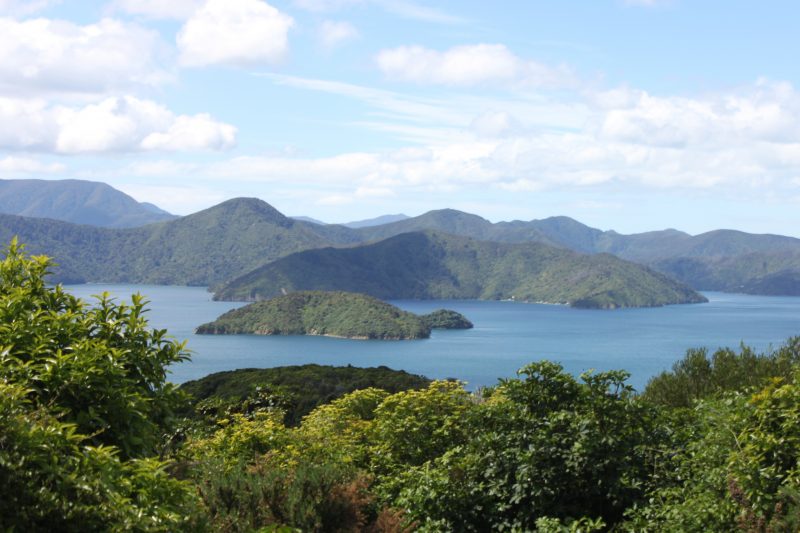 Picton