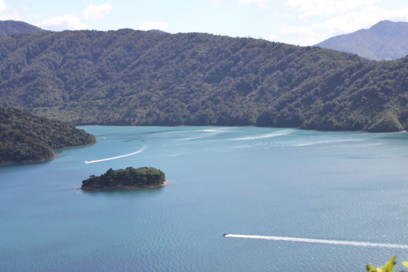 Picton