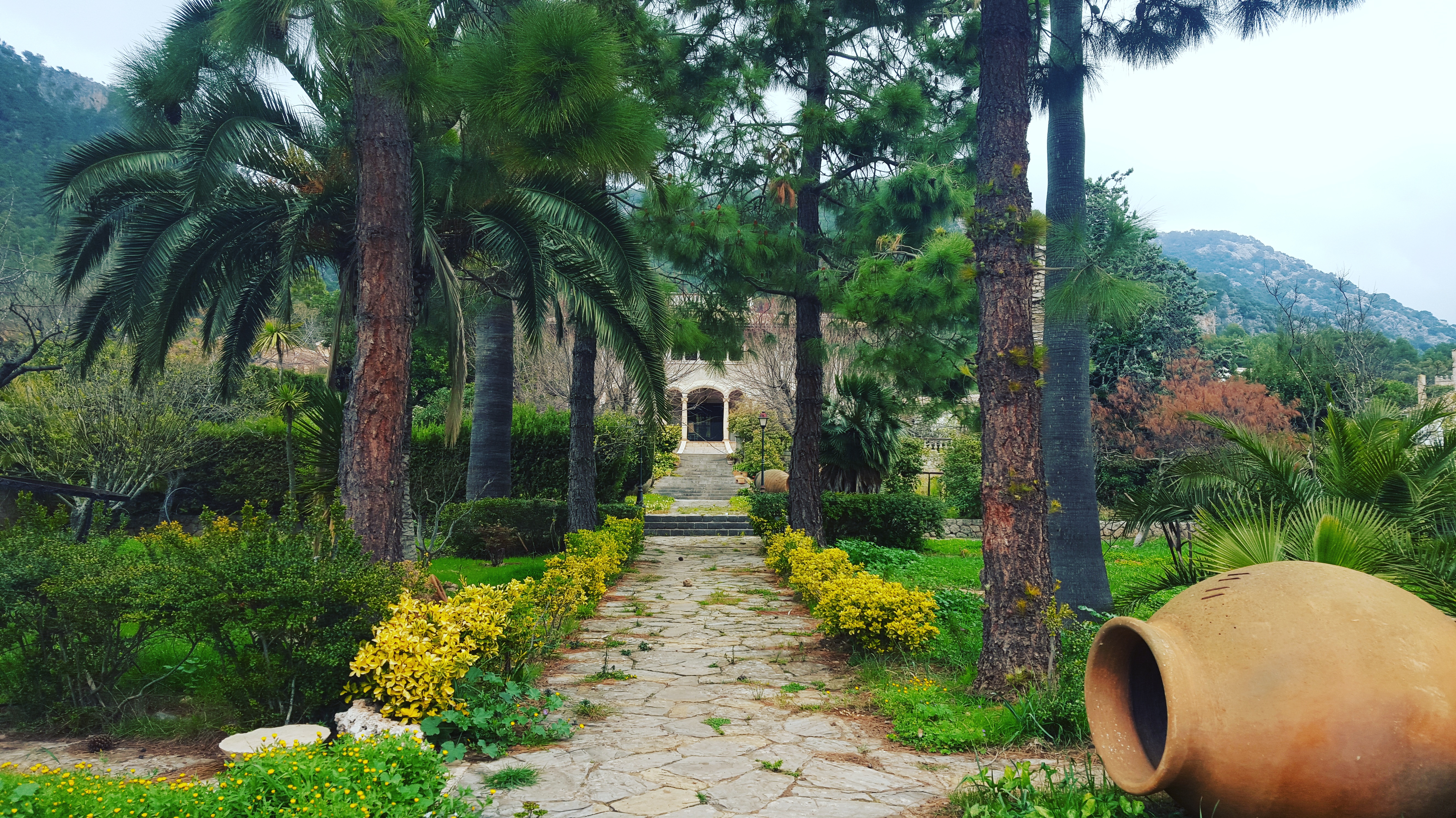 Valldemossa