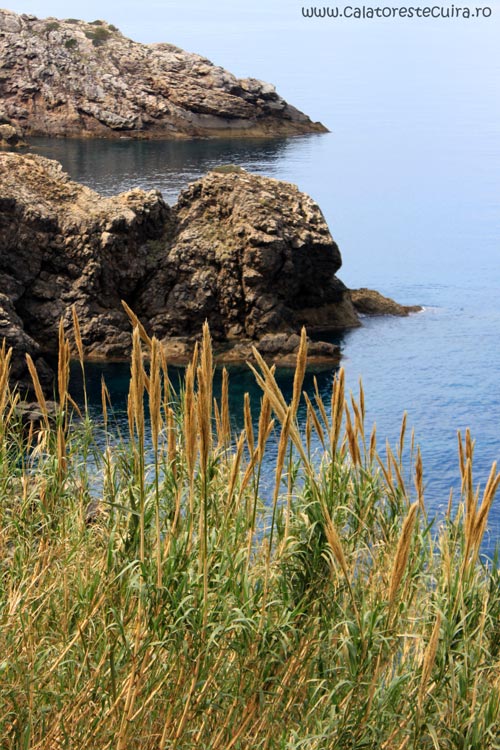 Banyalbufar