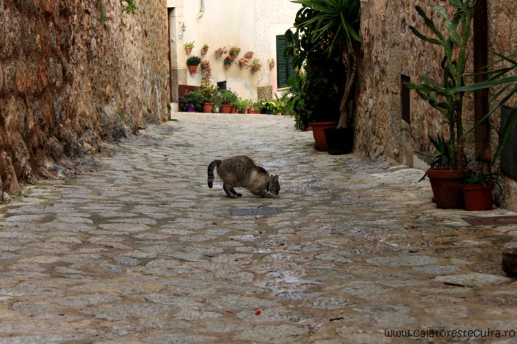 Valldemossa